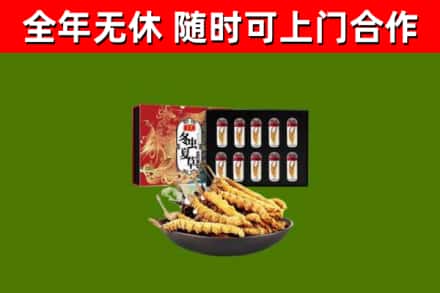 闸北区烟酒回收冬虫夏草礼盒.jpg