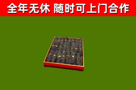 闸北区回收海参
